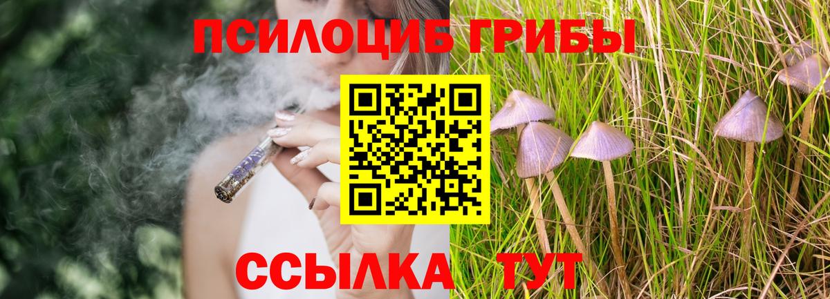 Меф мяу мяу Муравленко